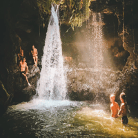Tetebatu, campos de arroz, cascada y recorrido del día del bosque de monos - Housity