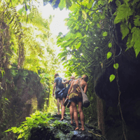 Tetebatu, champs de riz, cascade et visite de la Journée de la forêt de singe - Housity