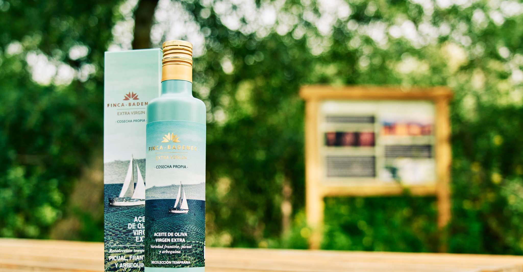 Aires de Jaén, Tour da Plantação de Azeite e refeição local - Housity