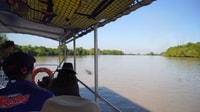 Darwin, der Croc Bus zur berühmten springenden Krokodil-Kreuzfahrt - Hizvo
