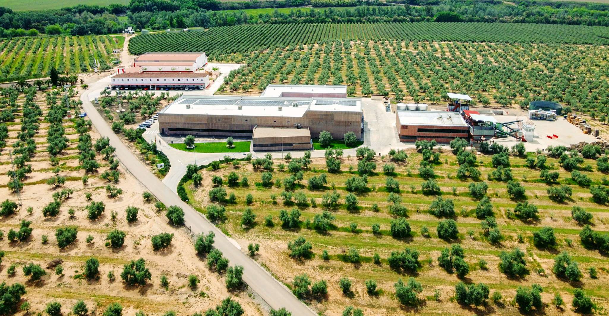 Oleotourismo e Sites do Patrimônio Mundial - Housity