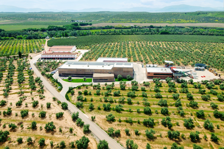 Oleotourism and Monumental Cities