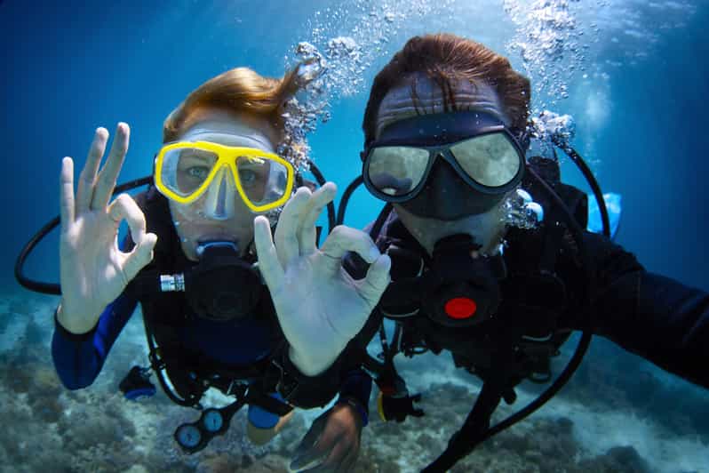 Da Muğla: Mezza giornata di immersioni subacquee a Oludeniz