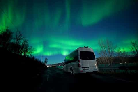 Tromsø: All Inclusive Northern Lights Chase Minibus Tour
