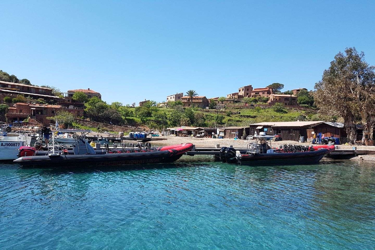 Vanuit Sagone/Cargèse: Capo Rosso, Piana & Scandola RondvaartVertrek uit Sagone