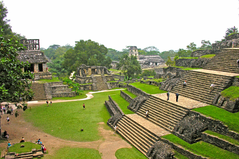 Chiapas : billet coupe-file pour le site archéologique de PalenquePalenque : billet d'entrée au site archéologique de Palenque