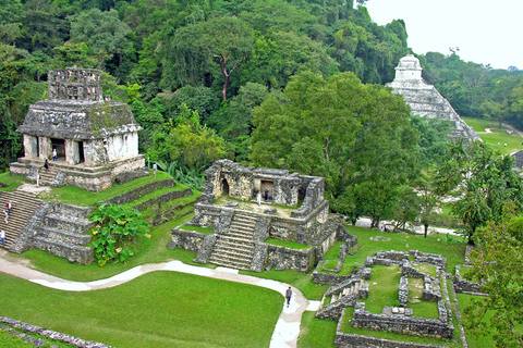 Chiapas : billet coupe-file pour le site archéologique de PalenquePalenque : billet d'entrée au site archéologique de Palenque