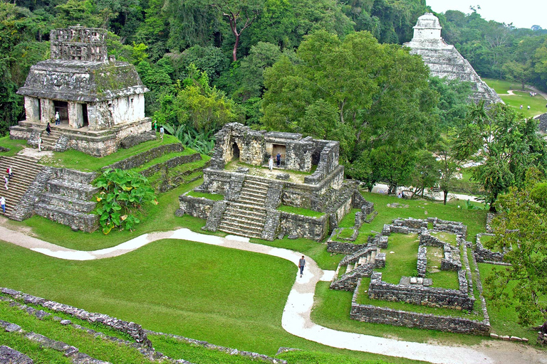 Chiapas : billet coupe-file pour le site archéologique de PalenquePalenque : billet d'entrée au site archéologique de Palenque