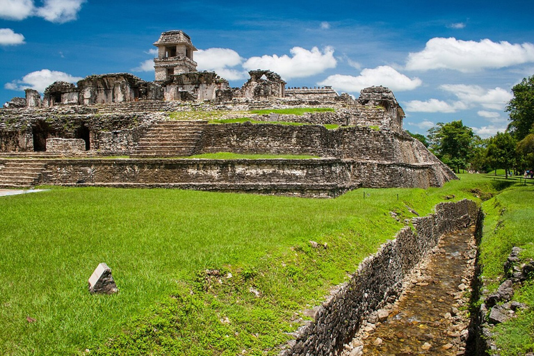 Chiapas : billet coupe-file pour le site archéologique de PalenquePalenque : billet d'entrée au site archéologique de Palenque