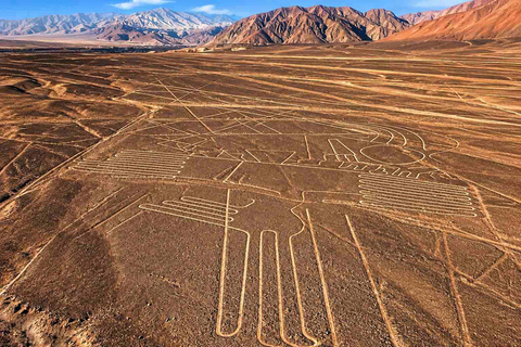Nazca Lines Flight with Tourist Ticket and Certified Pilots Premium - Pickup and drop-off