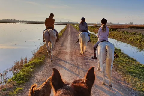 Parque Nacional del Delta del Ebro: Ruta guiada a caballo