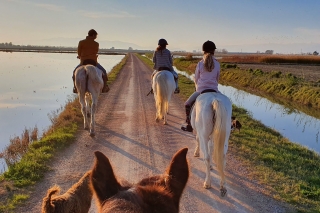 Ebro Delta National Park: Guided Horseback Riding Tour