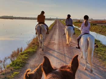 Ebro Delta National Park: Guided Horseback Riding Tour