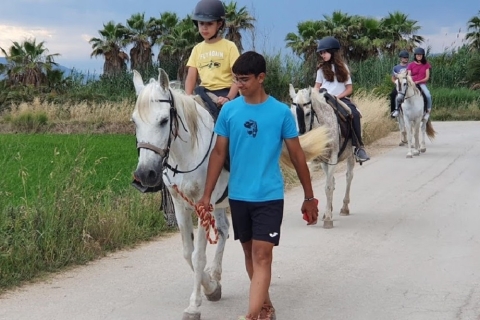 Ebro Delta National Park: begeleide paardrijtocht