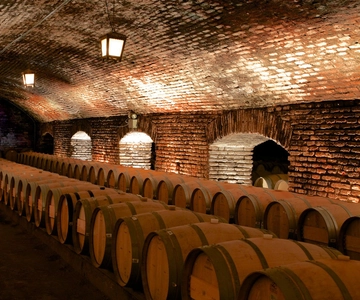Santiago: Concha y Toro Vineyard Tour w/ Transfer & Tasting