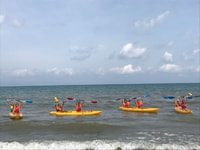 Parc national du delta de l'Èbre, promenade Scenic et circuit de kayak - Hizvo