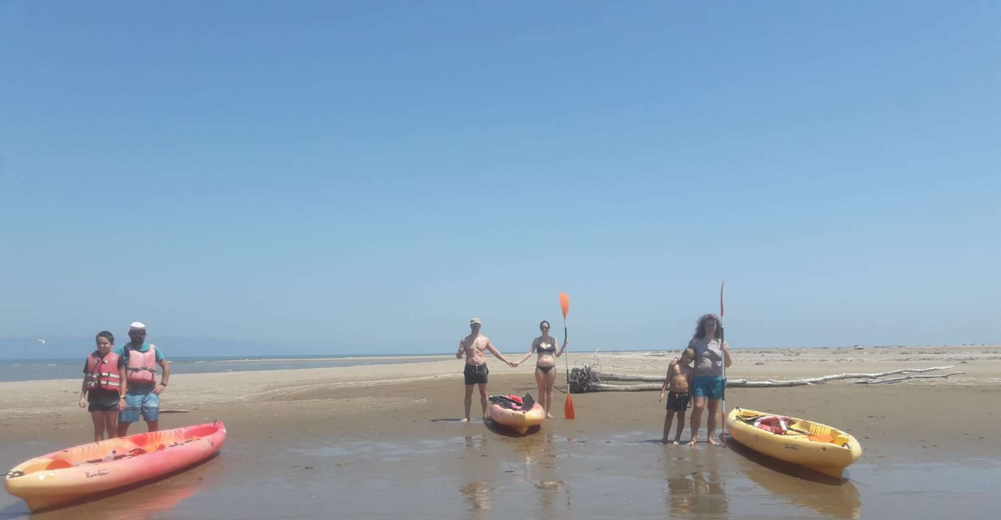 Ebro Delta National Park, Scenic Drive and Kayaking Tour - Hizvo