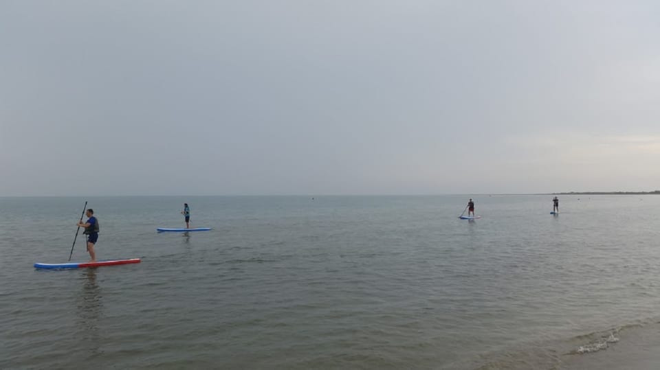 Ebro Delta National Park, Scenic Drive and Kayaking Tour - Hizvo