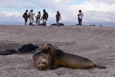 Desde isla Baltra: tour de 5 días por las islas GalápagosAlojamiento en hotel estándar