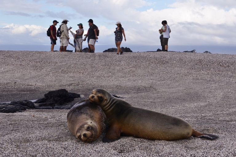 Z wyspy Baltra: 5-dniowa wycieczka przyrodnicza na Wyspy GalapagosZakwaterowanie w hotelu Comfort Class