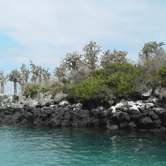 From Baltra Island: Galápagos Islands 5-Day Nature Tour | GetYourGuide