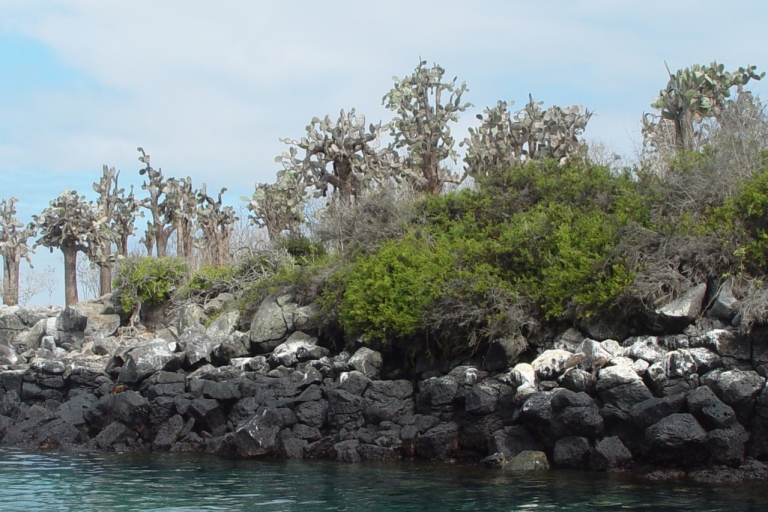 Vanaf het eiland Baltra: 5-daagse natuurtour op de Galápagos-eilandenComfort Class Hotel Accommodatie