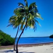 From Miami: Day Trip to Key Largo with Optional Activities