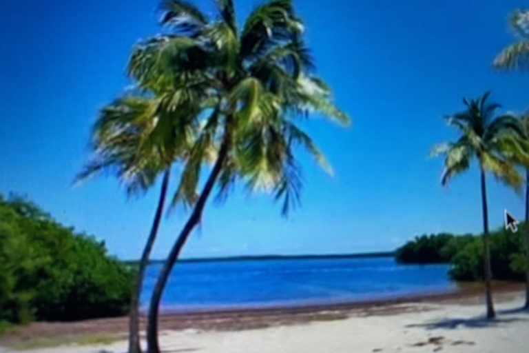 From Miami: Day Trip to Key Largo with Optional Activities Day Trip with Transportation only
