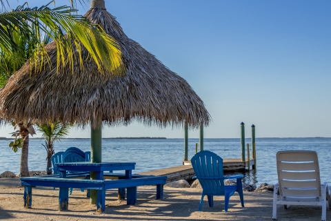 Von Miami aus: Tagesausflug nach Key Largo mit optionalen AktivitätenTagesausflug mit Glasbodenbootfahrt