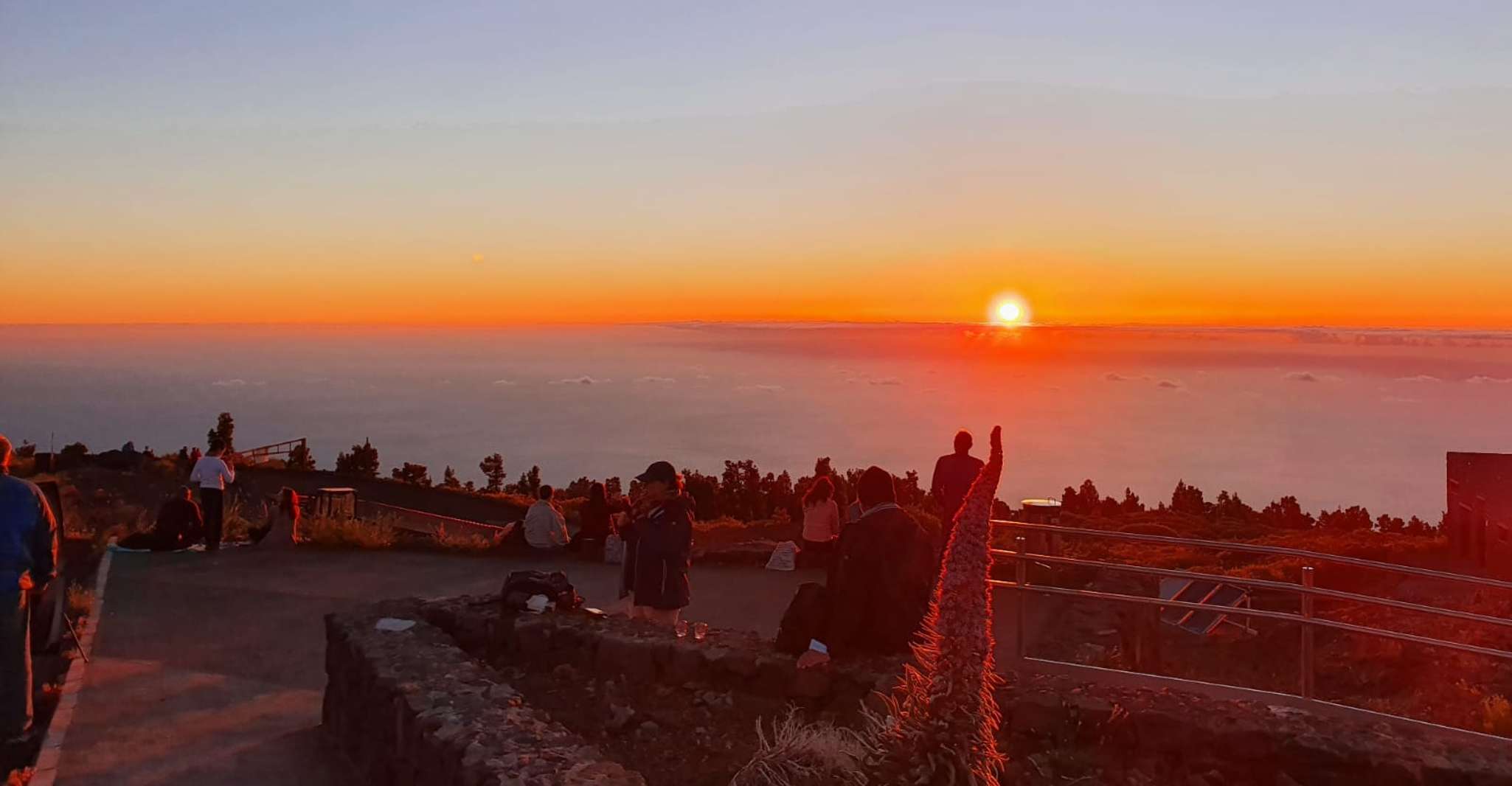 La Palma, Stargazing Tour with Wine and Hotel Transfer - Housity