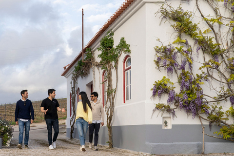 Van Lissabon: Sintra & Pena Palace-dagtrip met wijnproeverij