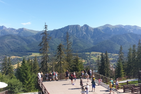 Van Krakau: Slowakije Treetop Walk en Zakopane Tour