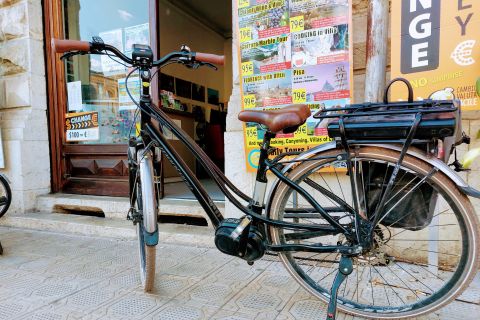 Lucca: E-bike rental