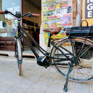 Lucca: Noleggio E-bike