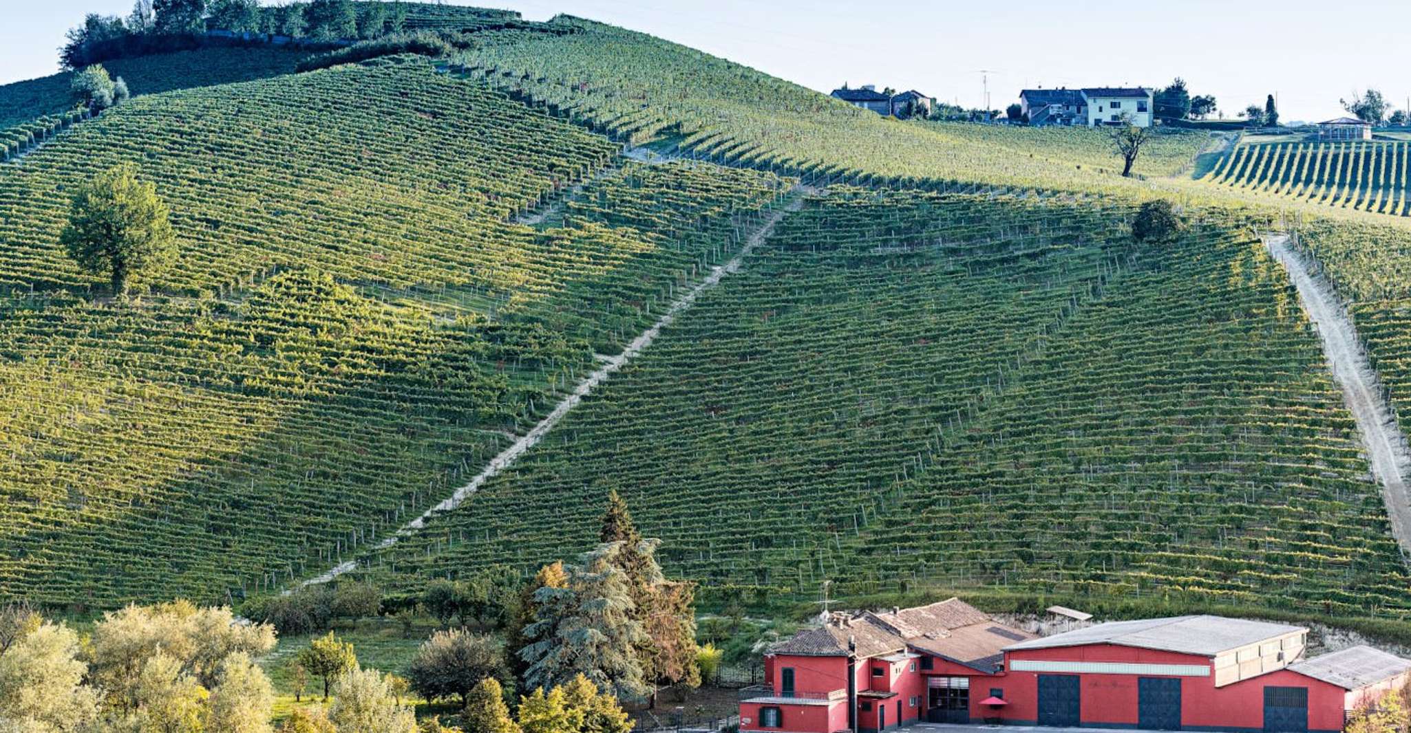 Monferrato, Garetto Wine Estate Tour und Picknick - Hizvo