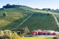 Monferrato, Garetto Wine Estate Tour et pique-nique - Hizvo