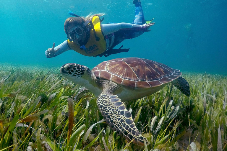 Cancun: Erstaunliche Schnorchel-BootsfahrtCancun: Schnorchelausflug im Unterwassermuseum Cancun