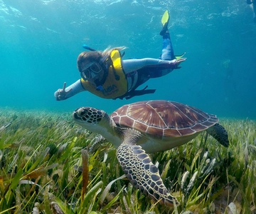 Cancun: Snorkeling Boat Trip