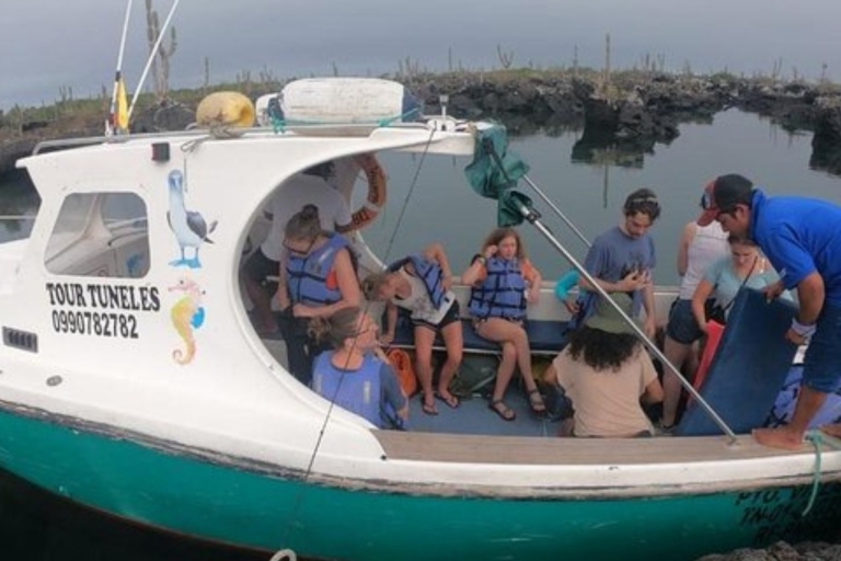 6-daagse tour in San Cristobal en Santa Cruz: dieren in het wild en snorkelenToeristenklasse Hotels-programma