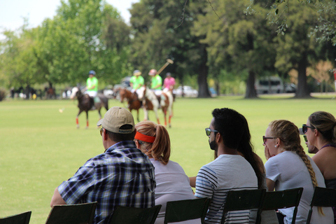 From Buenos Aires: Polo Match, Lesson, and BBQ Day-Trip