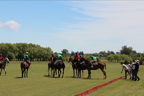 From Buenos Aires: Polo Match, Lesson, and BBQ Day-Trip