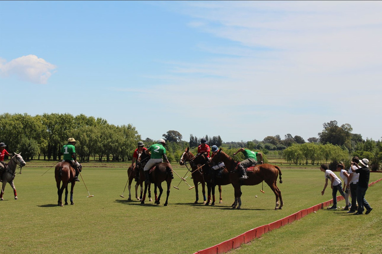 From Buenos Aires: Polo Match, Lesson, and BBQ Day-Trip