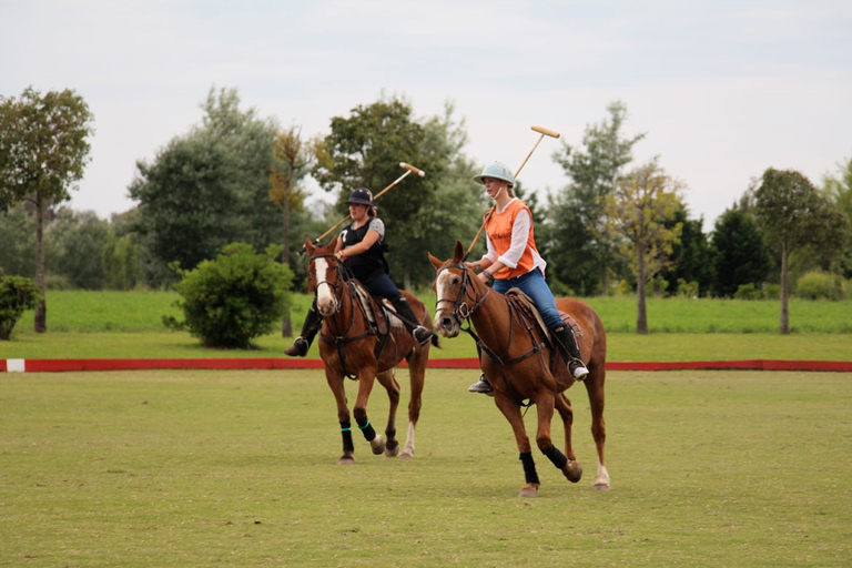 Von Buenos Aires aus: Polospiel, Lektion und BBQ-Tagesausflug