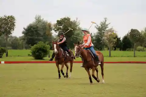Desde Buenos Aires: partido de polo, lección y excursión de un día a la barbacoa
