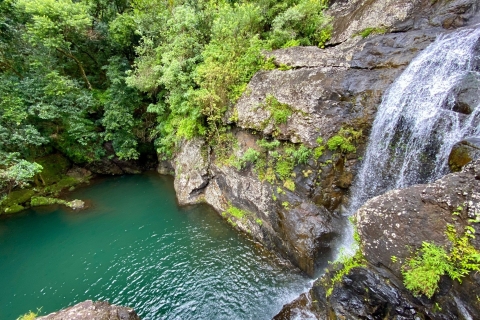Z Quatre Cocos: całodniowa wycieczka piesza do wodospadu Tamarind
