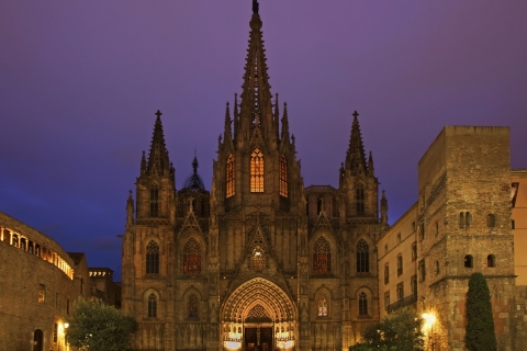 Barcelone : visite guidée du quartier gothique avec flamenco et tapasVisite guidée en japonais
