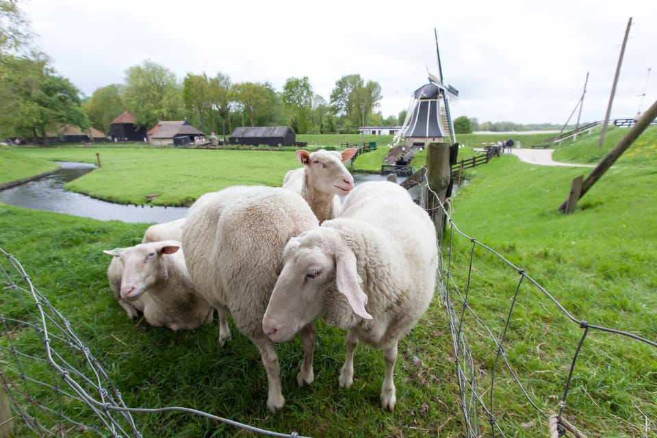 Enkhuizen Zuiderzee Open Air Museum Entrance Tickets GetYourGuide