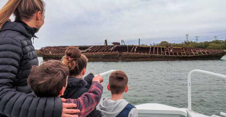Adelaide Port River Dolphin and Ships Graveyard Cruise GetYourGuide