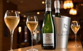 Passy-Grigny: Champagne Tour with 3 Meunier Tastings