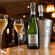 Authentische Champagne-Tour + 3 Champagner aus 100 % Meunier-Trauben